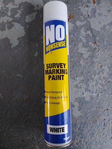 Nonsense survey marking - no,