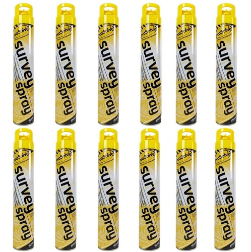 Yellow survey line marking - 12,