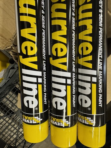 Yellow survey line - -,