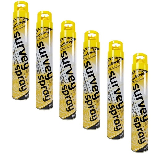 Yellow survey line marking - 6,
