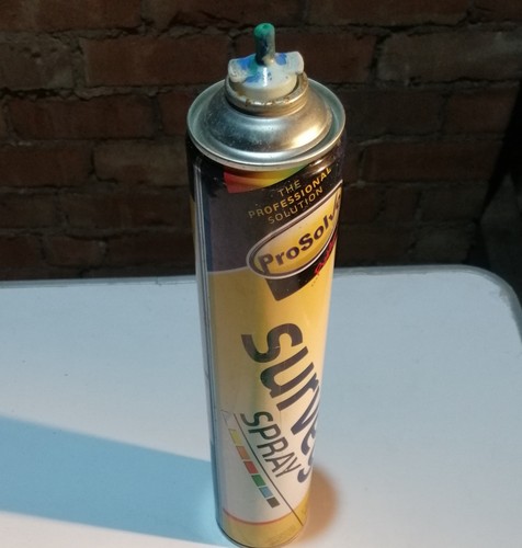 Survey spray paint - paint, green